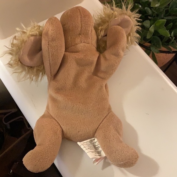 TY Beanie Baby Spunky the Cocker Spaniel‌‌‌‌‌‌‌‌‌‌‌‌‌‌‌‌‌‌‌‌‌‌‌‌‌‌‌‌‌‌‌…‌‌‌‌‌‌‍ - Picture 3 of 8